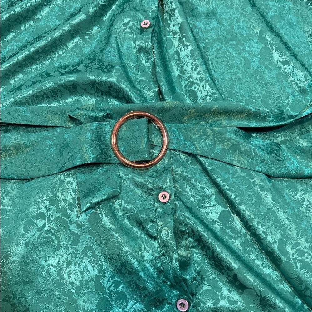 Satin Emerald Shirt Dress with Belt - Picture 4 of 4